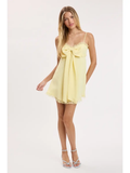 Ribbon Lace Swing Mini Dress - Greige Goods